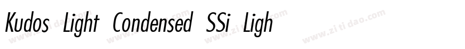 Kudos Light Condensed SSi Light Condensed Italic字体转换